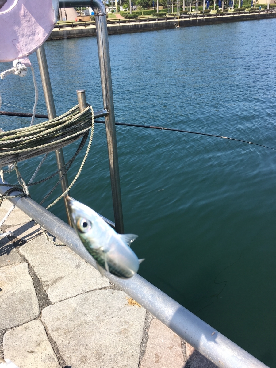 f:id:mi--yan:20190613144255j:plain