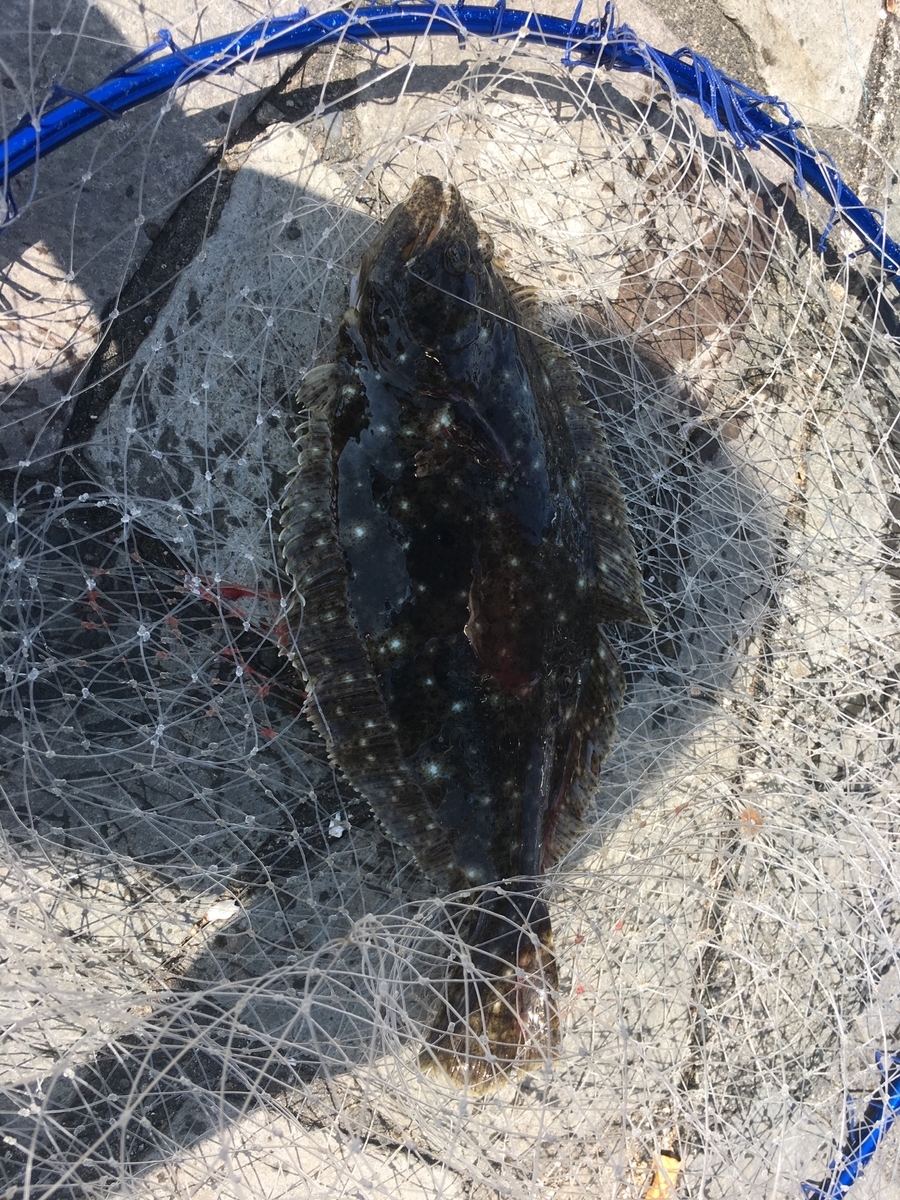 f:id:mi--yan:20190613144313j:plain