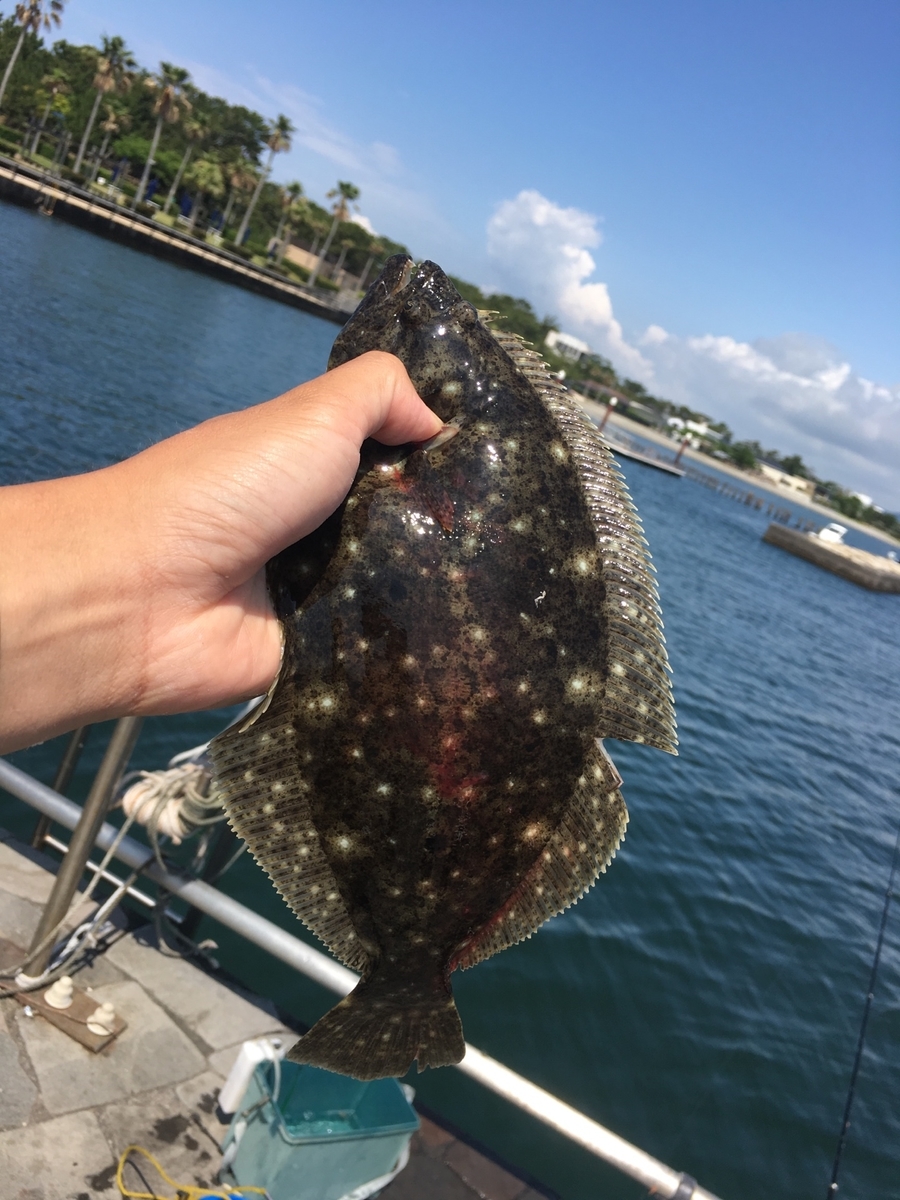 f:id:mi--yan:20190613144321j:plain