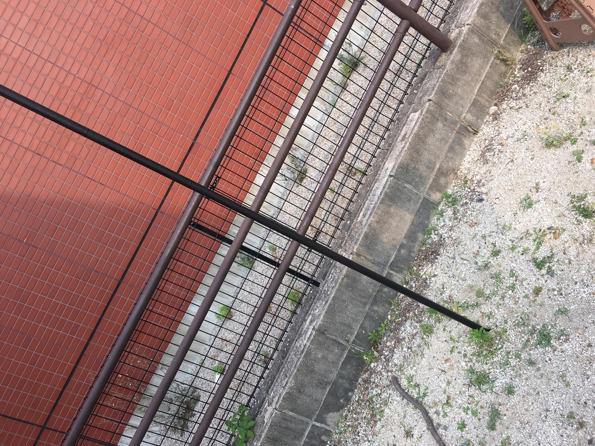 f:id:mi--yan:20190718134032j:plain