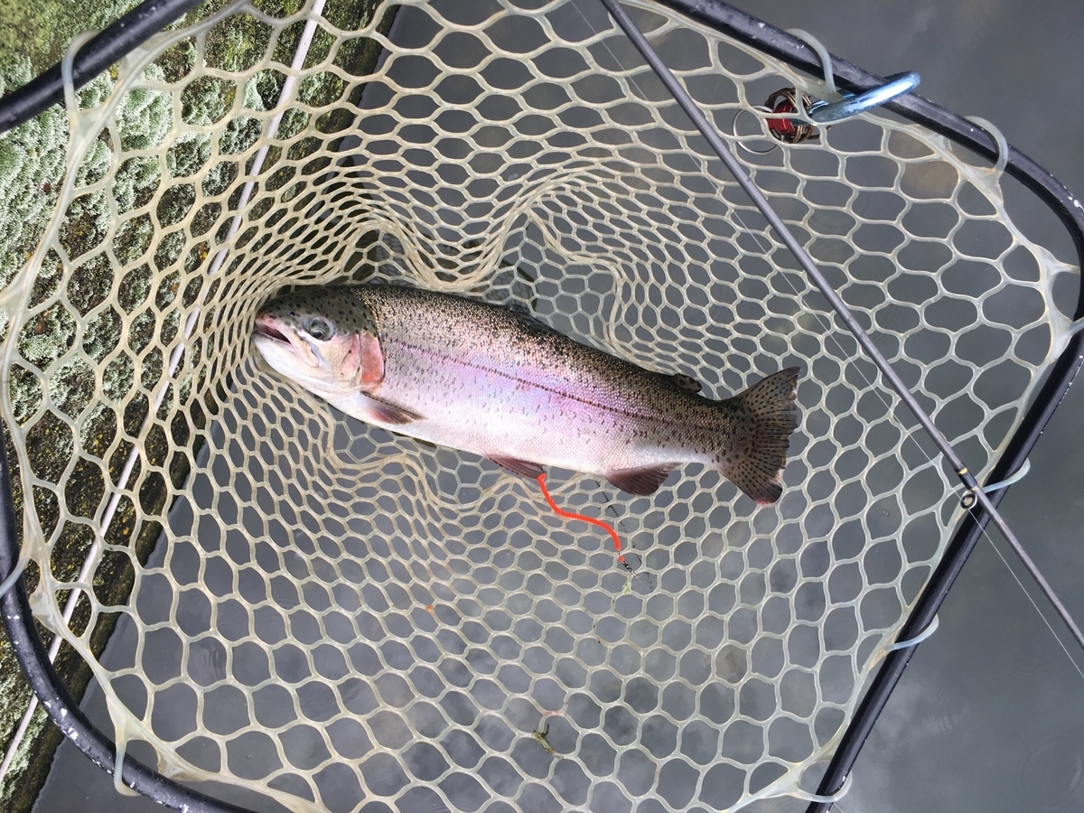 f:id:mi--yan:20190904205953j:plain f:id:mi--yan:20190904205953j:plain