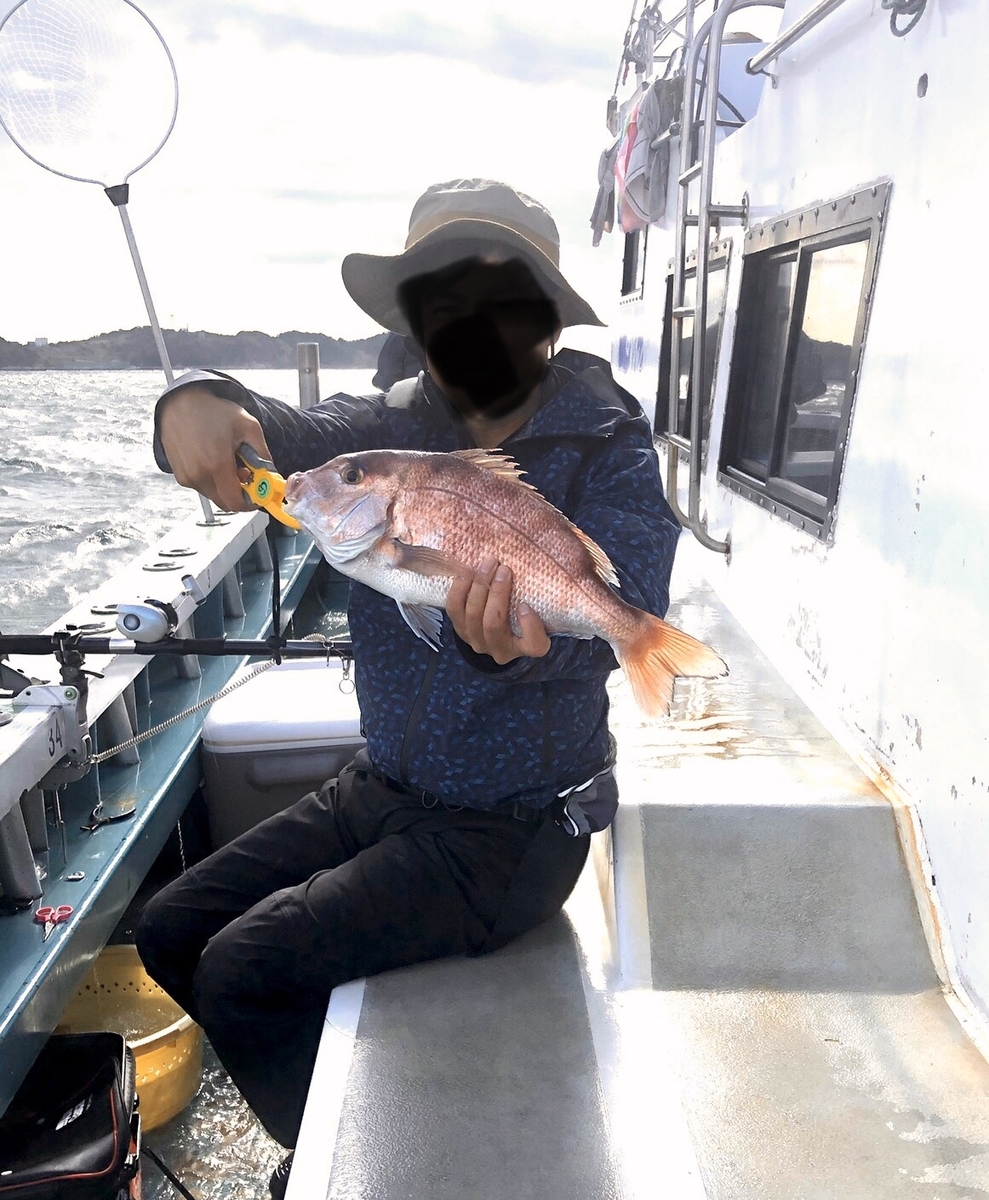 f:id:mi--yan:20191115212947j:plain