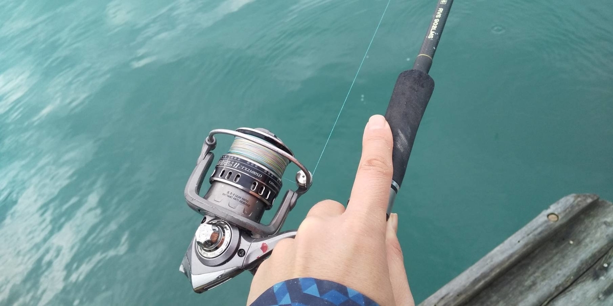 深田渡船で筏釣り 初心者を連れていくには？その1 miyanの釣りとPTA役員奮闘 改革日記