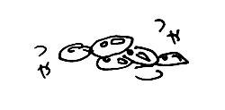 f:id:mi-anna:20090713033337g:image