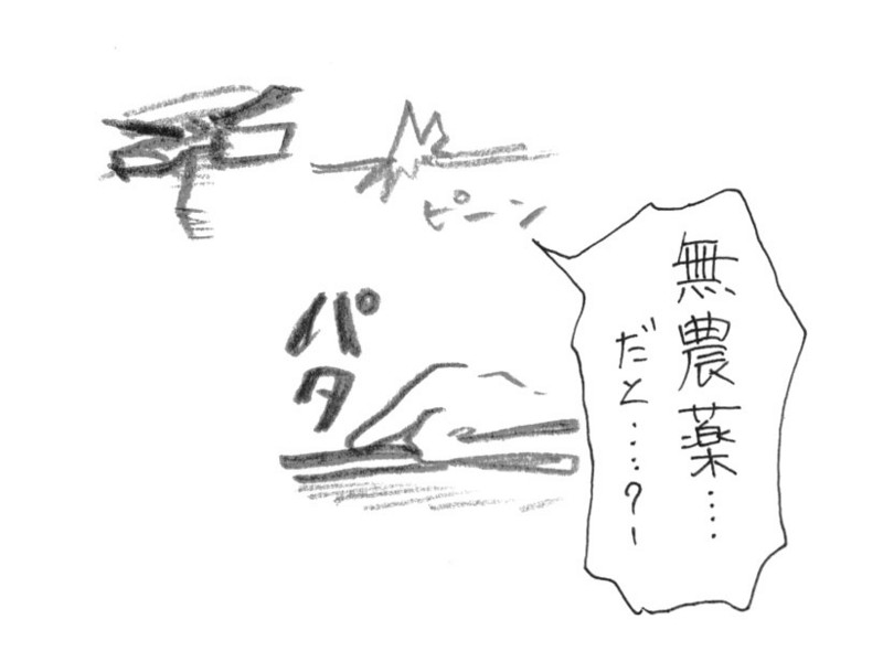 f:id:mi-anna:20090803001424j:image