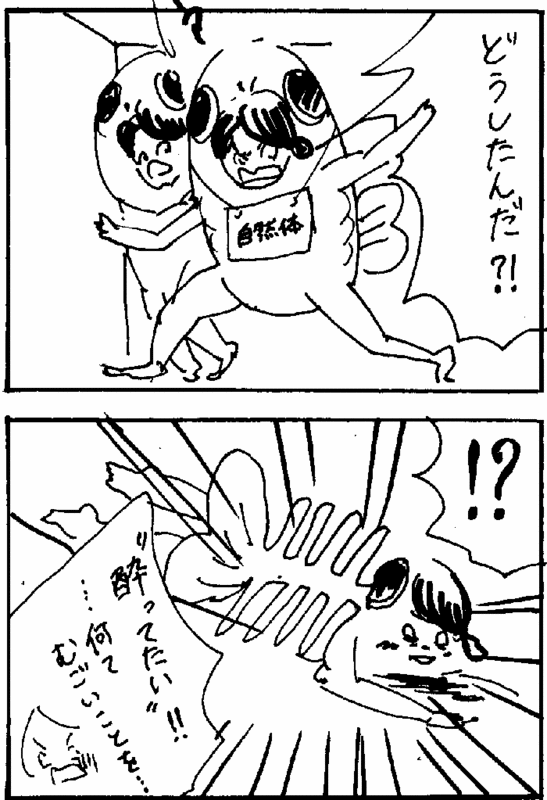 f:id:mi-anna:20091212150832g:image