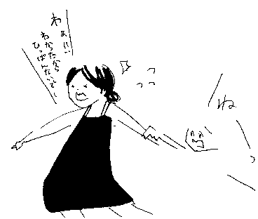 f:id:mi-anna:20091224031419g:image