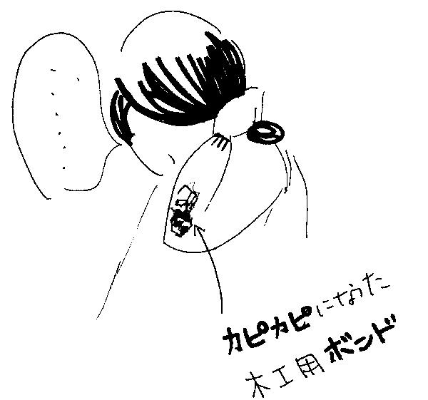 f:id:mi-anna:20091224031422g:image