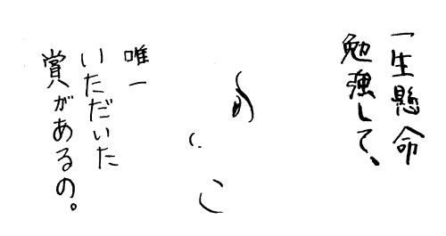 f:id:mi-anna:20101231212035g:image