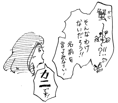 f:id:mi-anna:20101231212043g:image