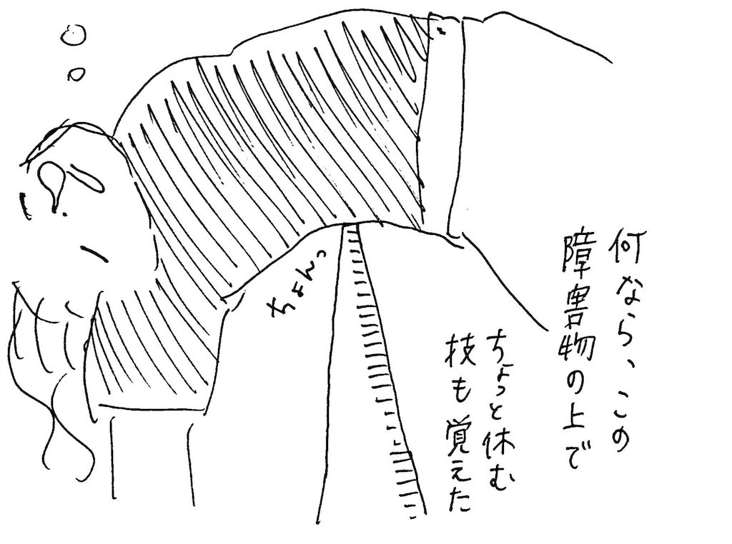 f:id:mi-anna:20161219234039j:image