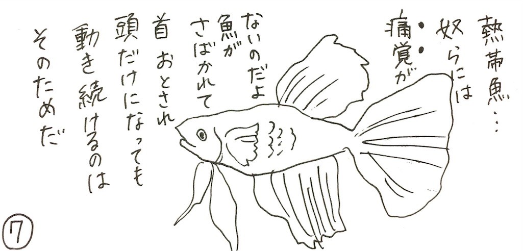 f:id:mi-anna:20170128074839j:image