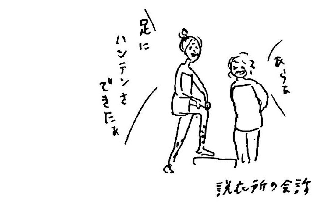 f:id:mi-anna:20171202235343j:image