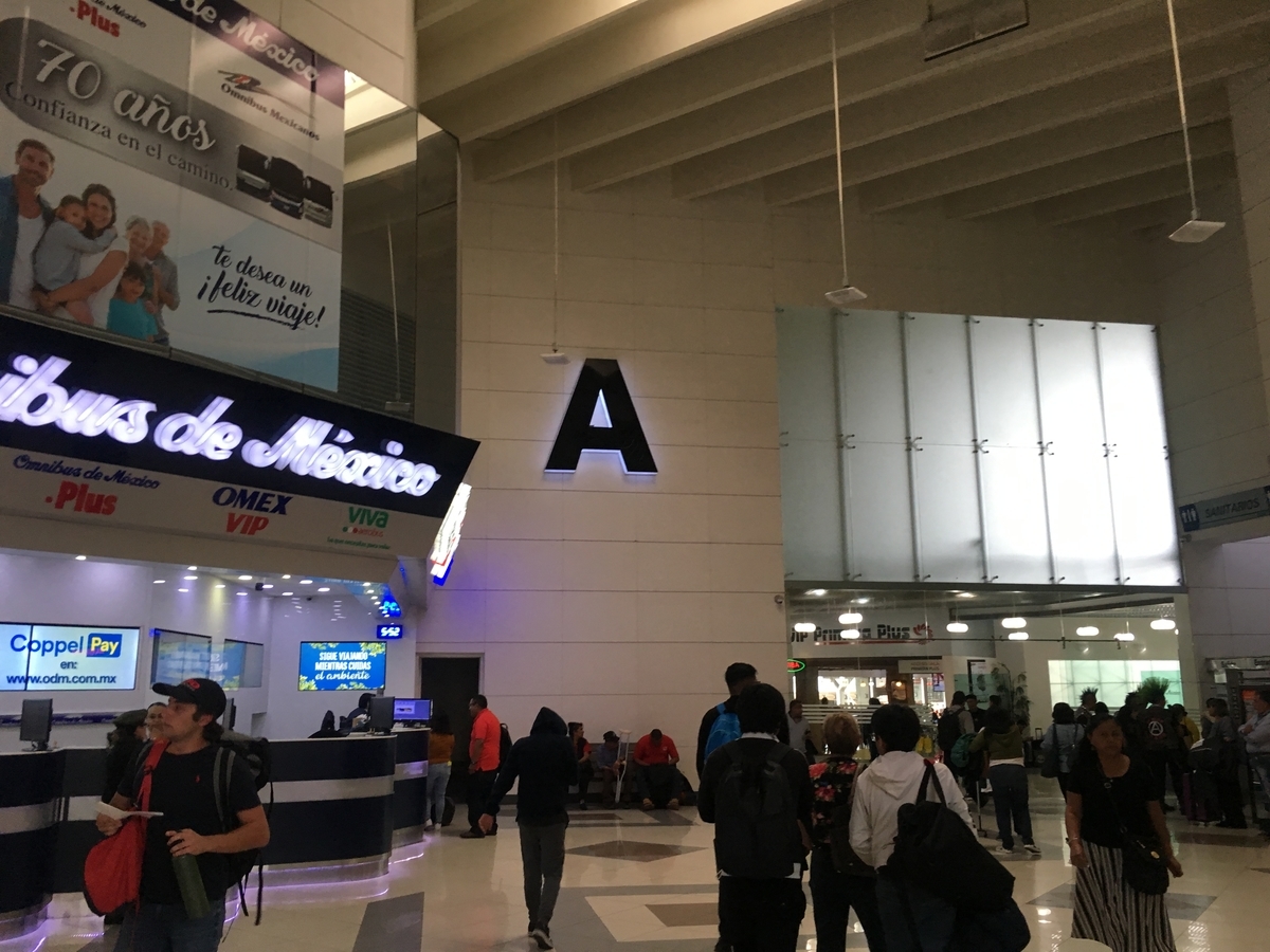f:id:mi-futuro66:20191205161037j:plain f:id:mi-futuro66:20191205161037j:plain