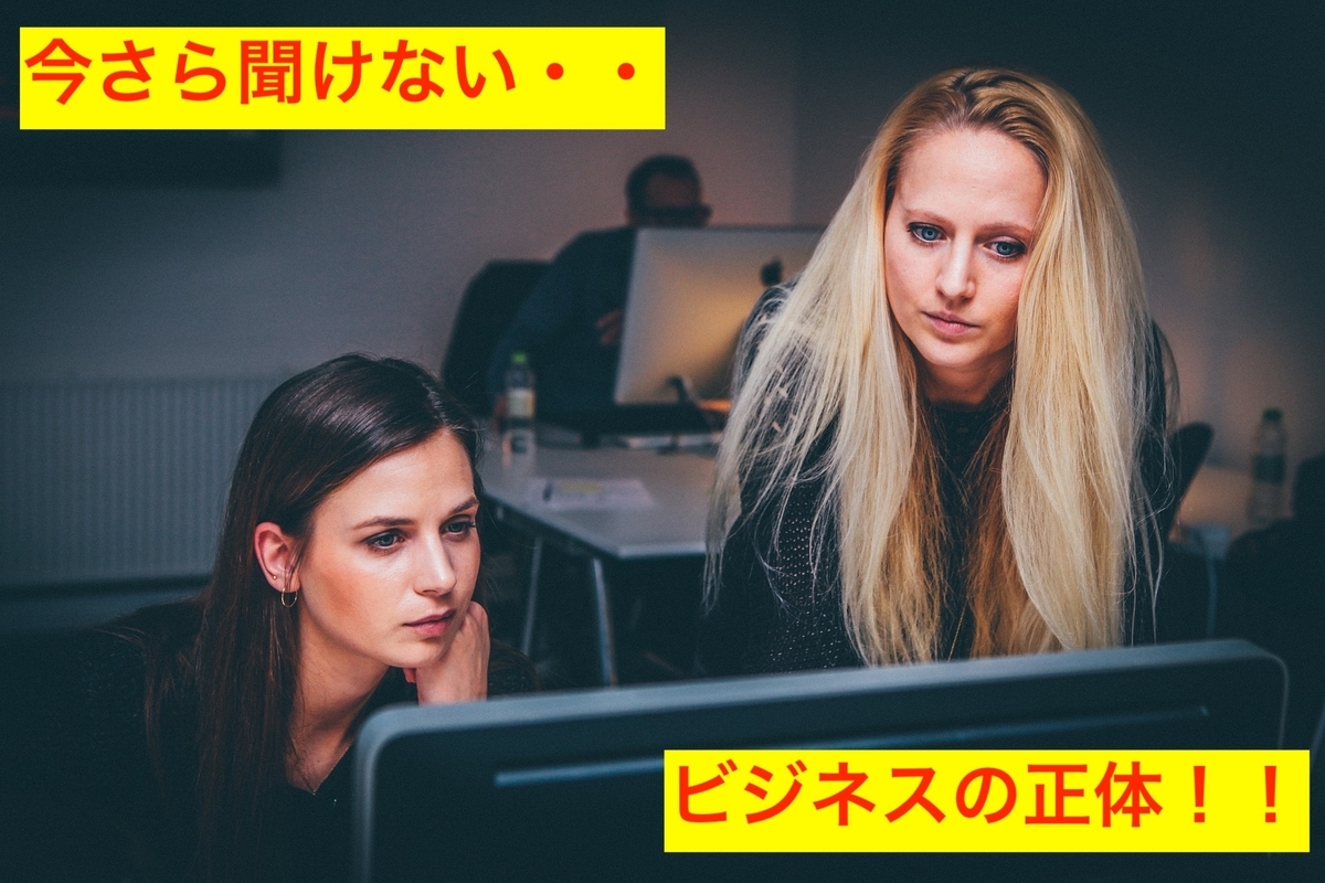 f:id:mi-gi-wa:20210326232507j:plain