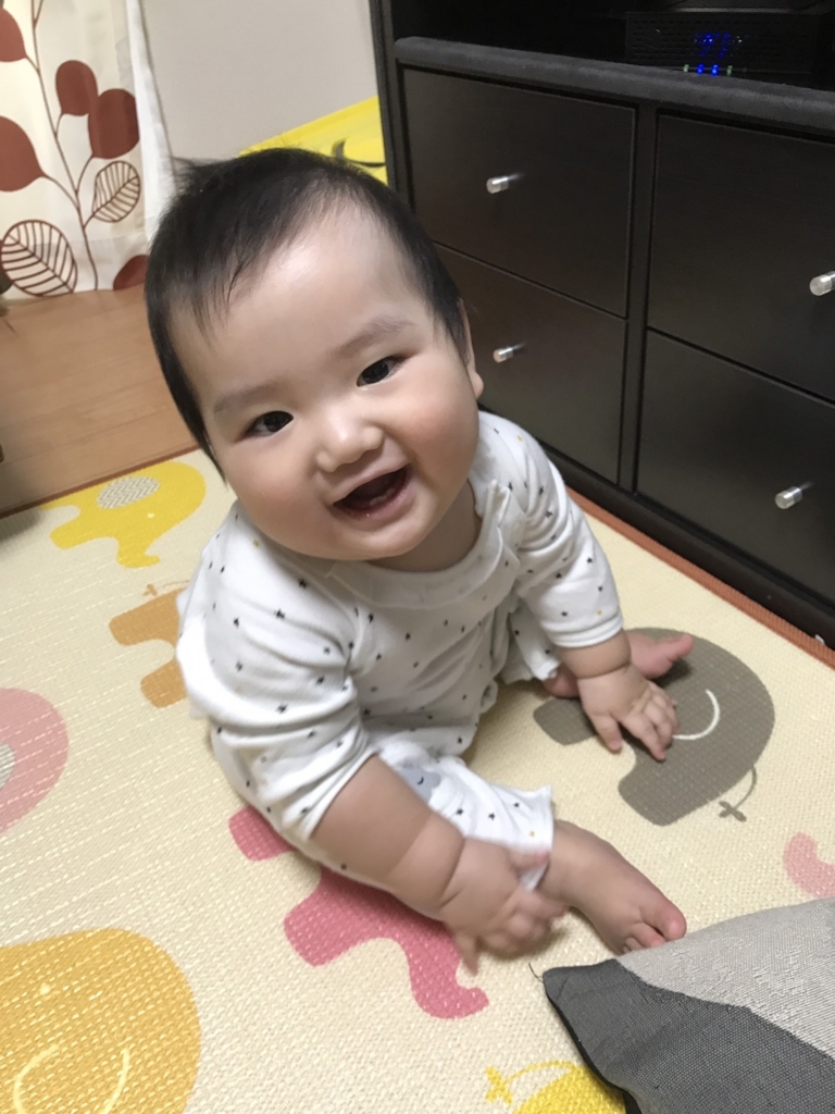 f:id:mi-kun02:20171028114431j:plain f:id:mi-kun02:20171028114431j:plain