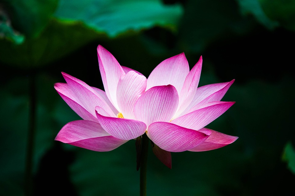 f:id:mi-ma-yu:20220130144730j:plain