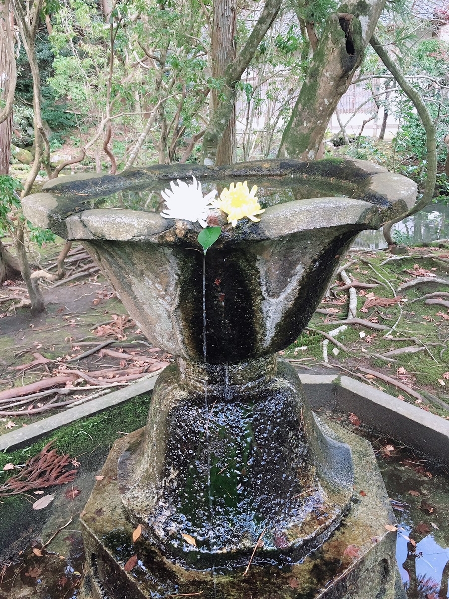 法然院の手水鉢
