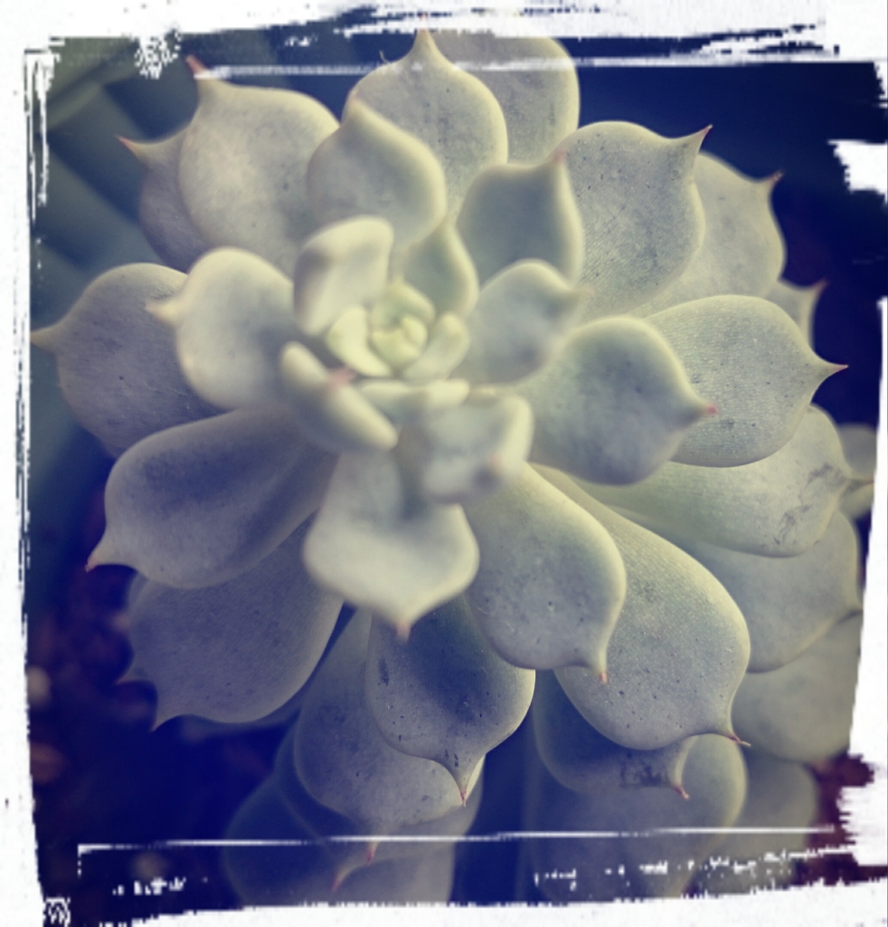 f:id:mi05:20161011225012j:plain