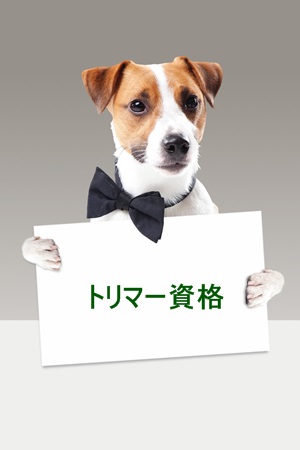 f:id:mi150925-9:20171006153023j:plain