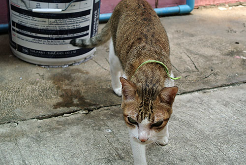 f:id:mi28:20150325134720j:plain