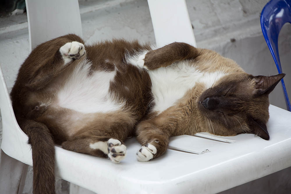 f:id:mi28:20150326164541j:plain:w500