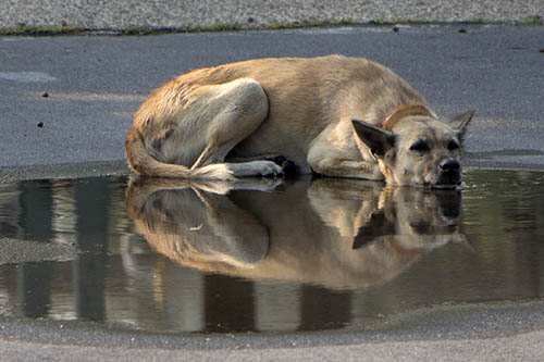 f:id:mi28:20150328181910j:plain:w500