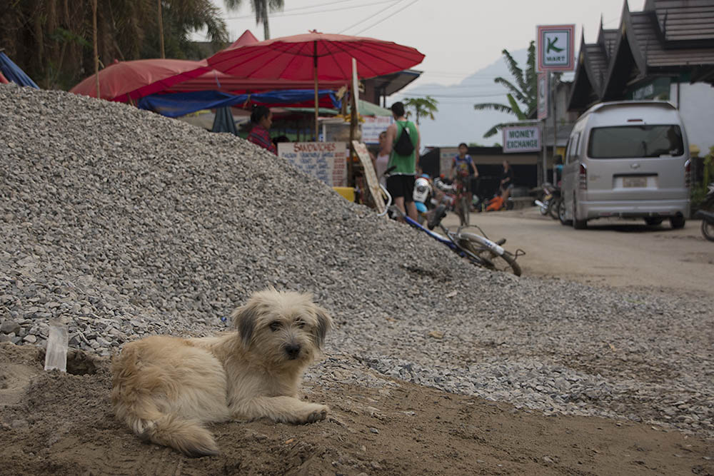 f:id:mi28:20150403191951j:plain:w500