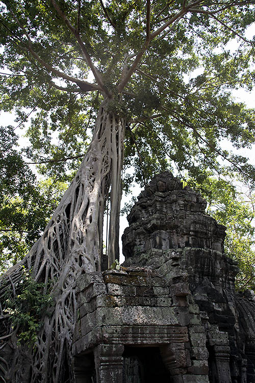 f:id:mi28:20150415135648j:plain:w300