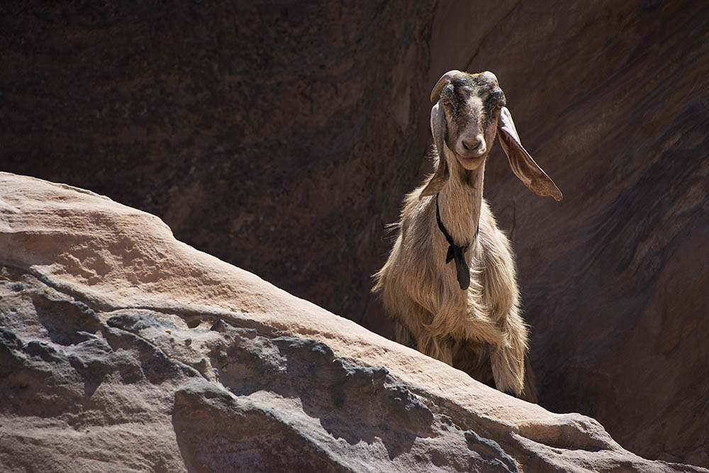 f:id:mi28:20150501131108j:plain:w500