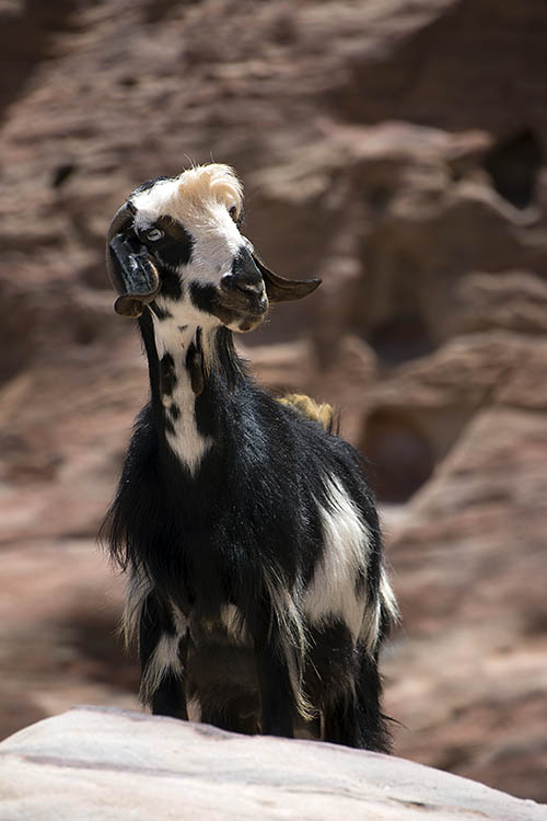 f:id:mi28:20150501131339j:plain:w300