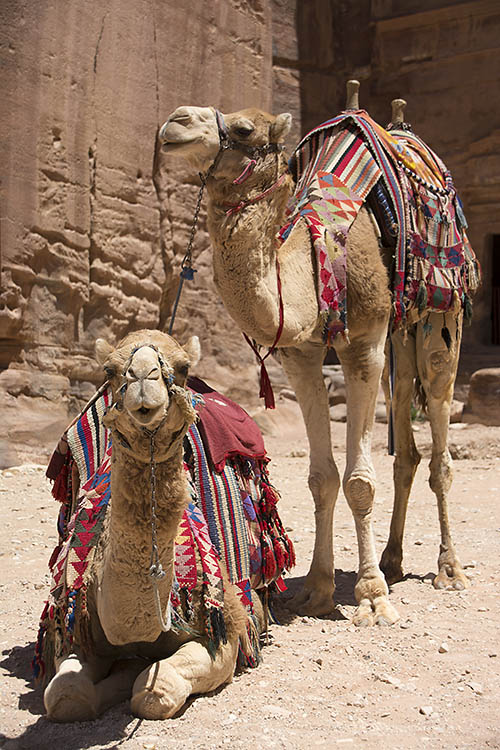 f:id:mi28:20150502120548j:plain:w300