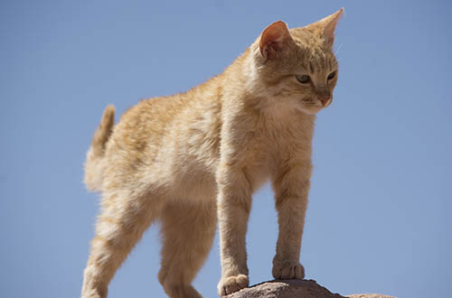 f:id:mi28:20150502135308j:plain:w500