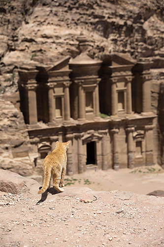 f:id:mi28:20150502135729j:plain:w300