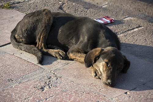 f:id:mi28:20150529192050j:plain f:id:mi28:20150529192050j:plain