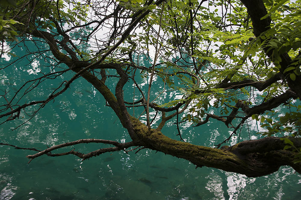 f:id:mi28:20150706162238j:plain:w500