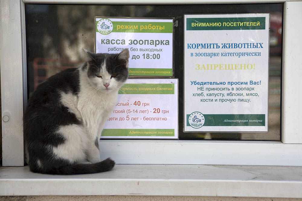 f:id:mi28:20151016130651j:plain:w500 f:id:mi28:20151016130651j:plain:w500