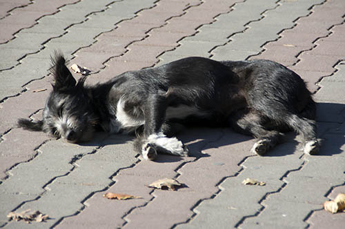 f:id:mi28:20151016135647j:plain:w500 f:id:mi28:20151016135647j:plain:w500