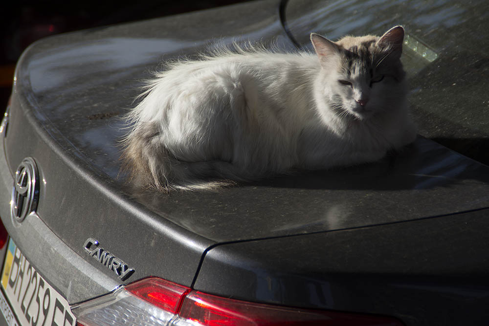 f:id:mi28:20151016152351j:plain:w500 f:id:mi28:20151016152351j:plain:w500