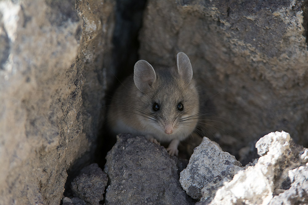 f:id:mi28:20151203130352j:plain:w500