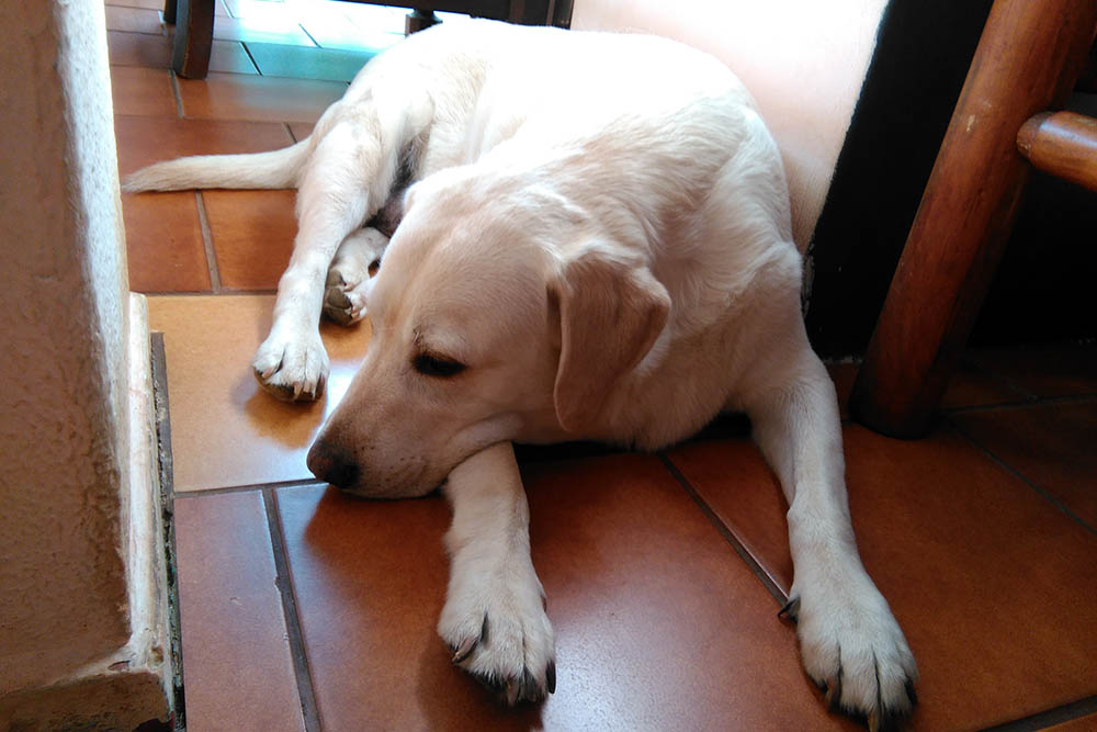 f:id:mi28:20160223155118j:plain:w500