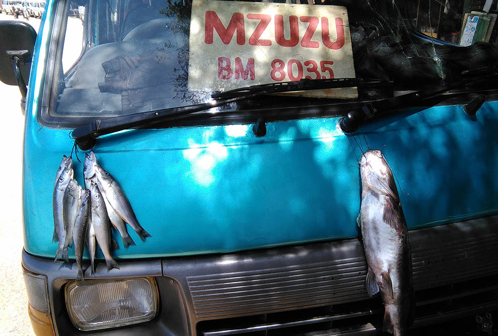 f:id:mi28:20160320115758j:plain:w500 f:id:mi28:20160320115758j:plain:w500