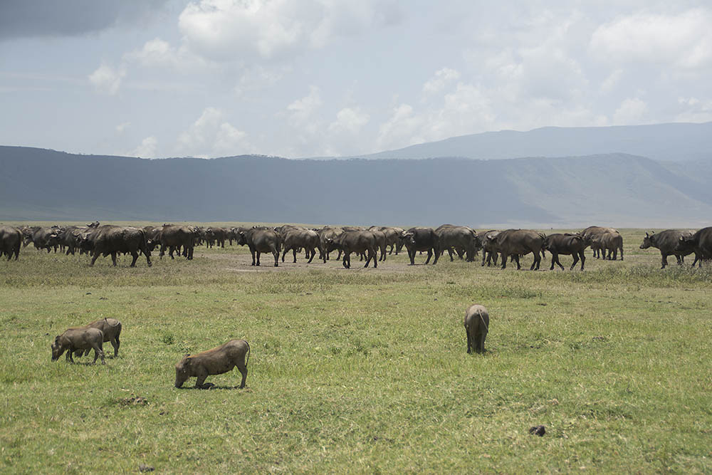 f:id:mi28:20160330115257j:plain:w500