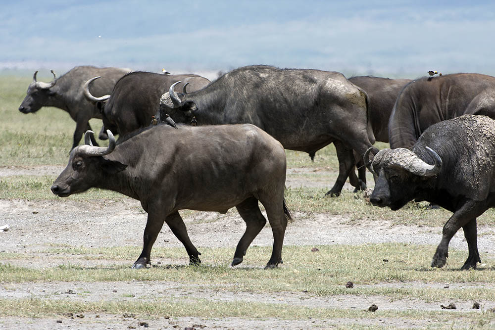 f:id:mi28:20160330115437j:plain:w500