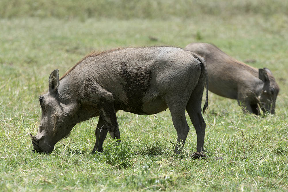 f:id:mi28:20160330115632j:plain:w500