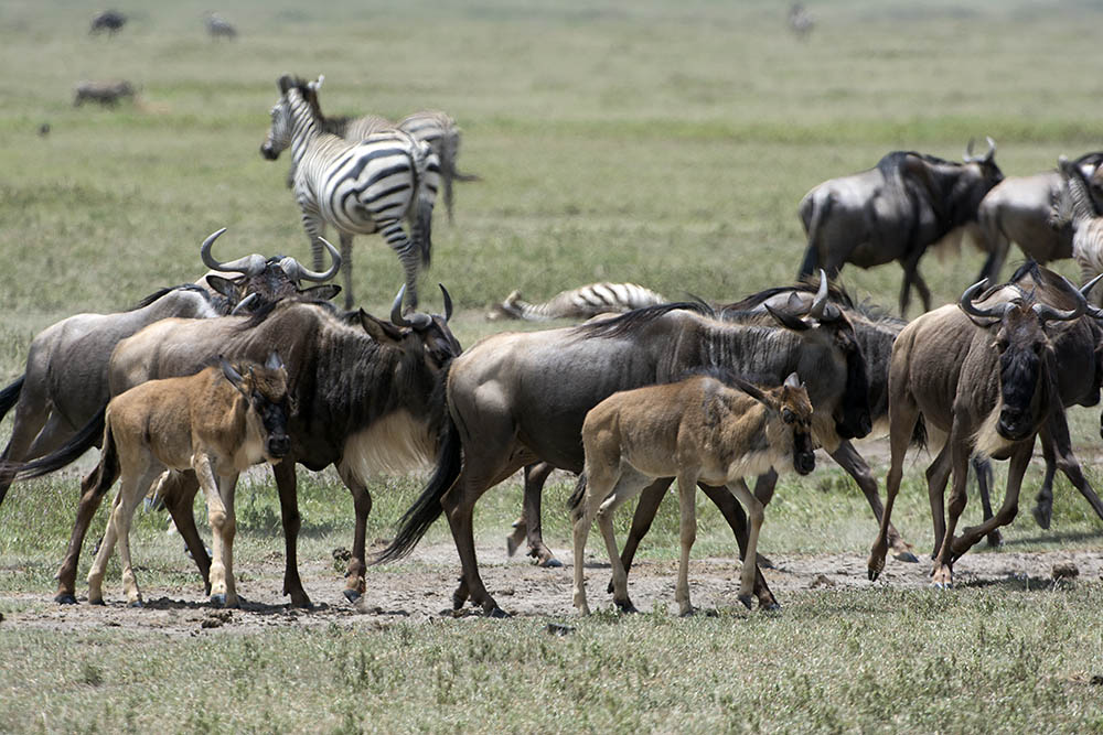 f:id:mi28:20160330115749j:plain:w500