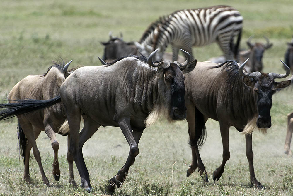 f:id:mi28:20160330115752j:plain:w500