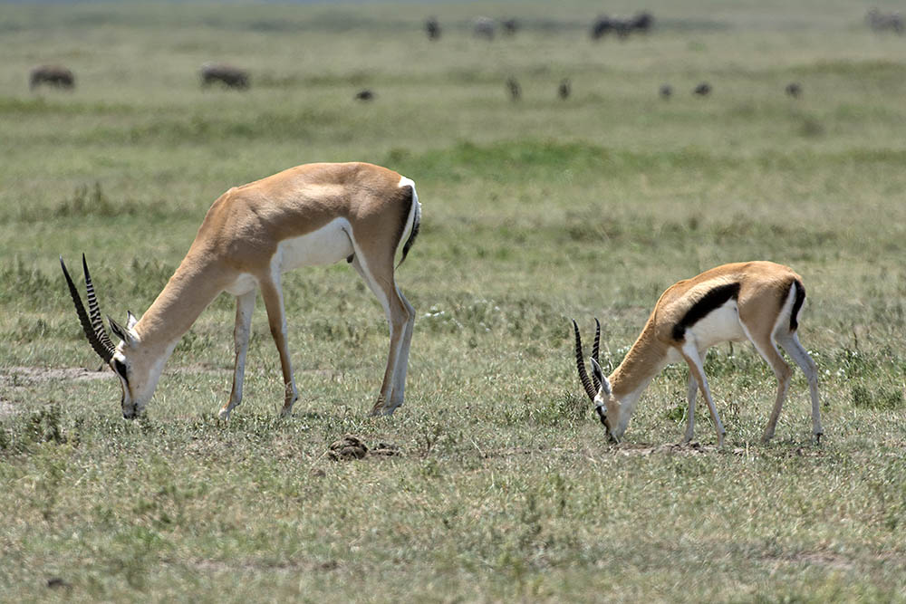 f:id:mi28:20160330120016j:plain:w500