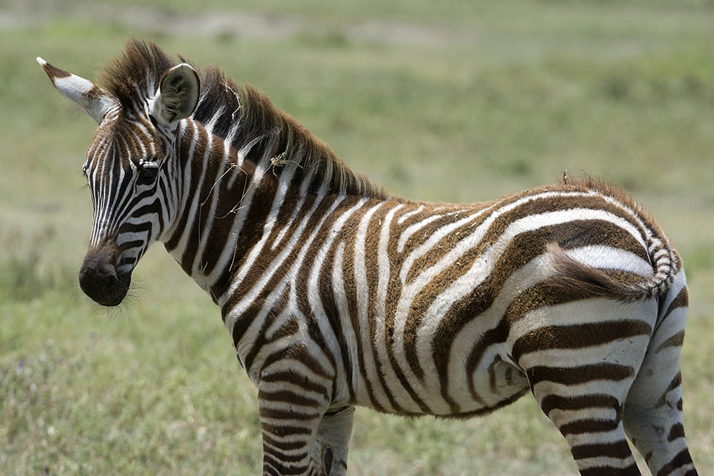 f:id:mi28:20160330120436j:plain:w500