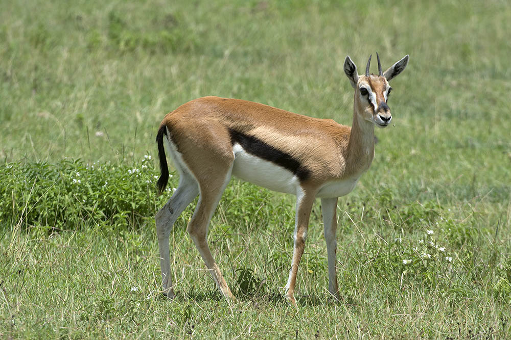 f:id:mi28:20160330121657j:plain:w500